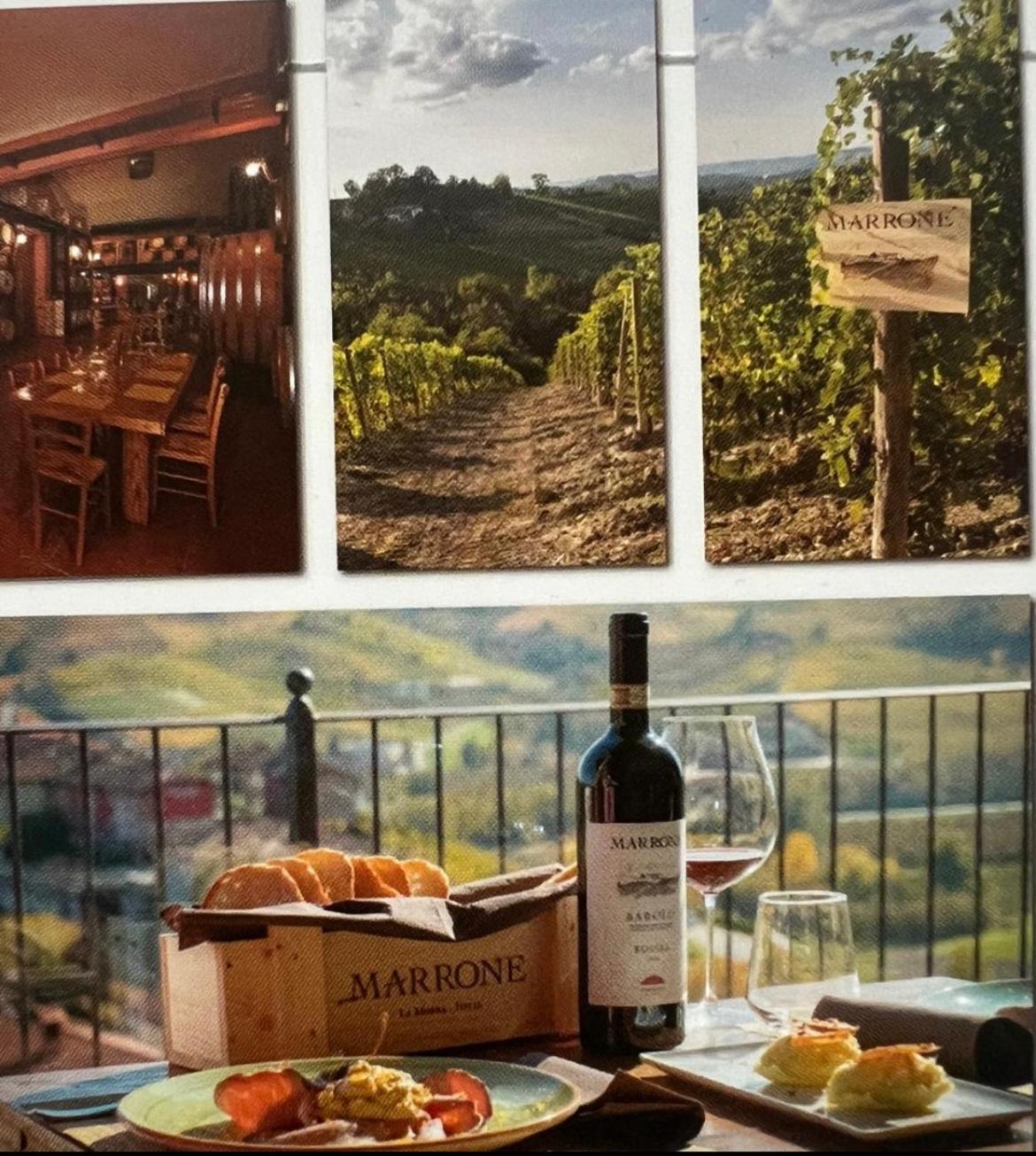 Agriturismo Da Mamma ألبا المظهر الخارجي الصورة