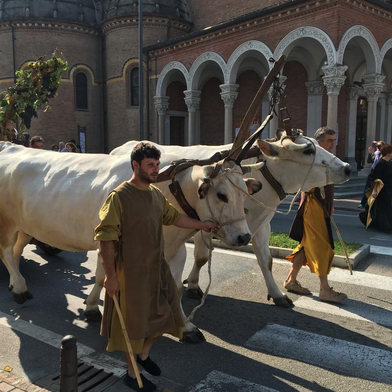 Agriturismo Da Mamma ألبا المظهر الخارجي الصورة
