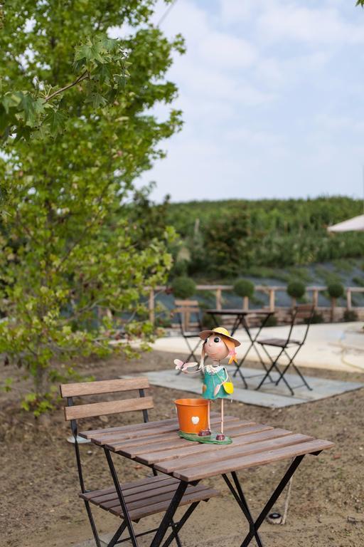 Agriturismo Da Mamma ألبا المظهر الخارجي الصورة
