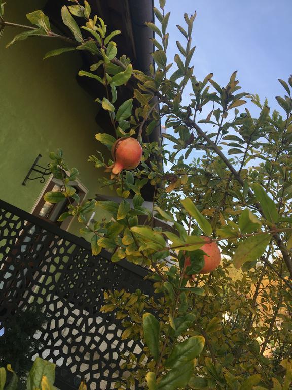 Agriturismo Da Mamma ألبا المظهر الخارجي الصورة