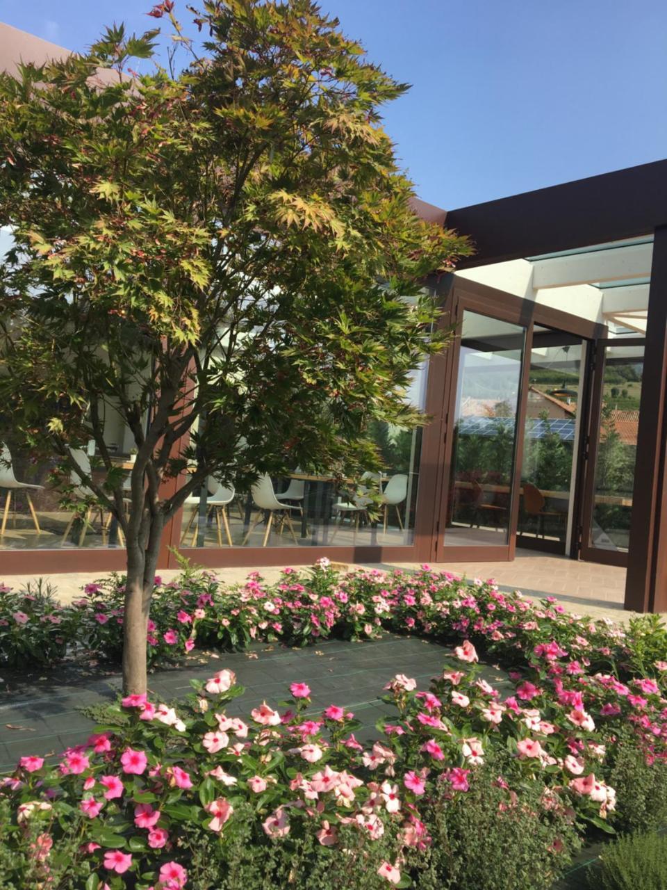 Agriturismo Da Mamma ألبا المظهر الخارجي الصورة