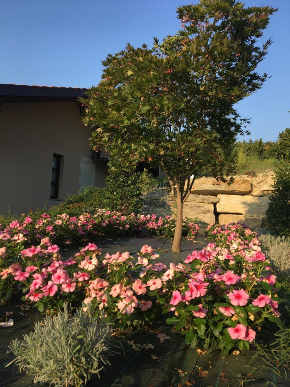 Agriturismo Da Mamma ألبا المظهر الخارجي الصورة